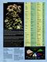 Page: - 22 | High Times