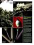 Page: - 39 | High Times