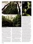 Page: - 42 | High Times