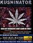 Page: - 5 | High Times