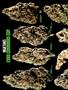 Page: - 68 | High Times