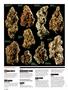 Page: - 72 | High Times