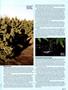 Page: - 77 | High Times