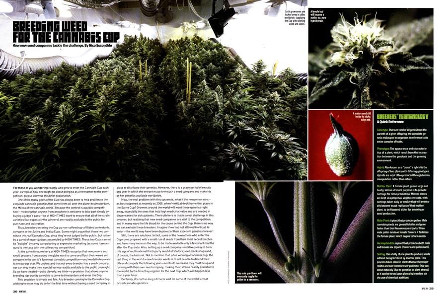 BREEDING WEED FOR THE CANNABIS CUP
