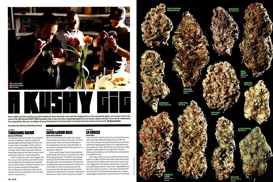 A KUSHY GIG