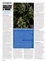 Page: - 110 | High Times
