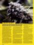 Page: - 116 | High Times