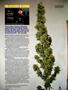 Page: - 118 | High Times