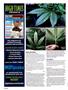 Page: - 124 | High Times