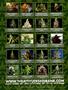 Page: - 2 | High Times