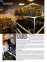 Page: - 62 | High Times