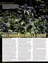 Page: - 76 | High Times