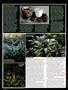 Page: - 78 | High Times