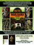 Page: - 8 | High Times
