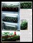 Page: - 80 | High Times