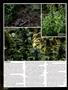 Page: - 82 | High Times