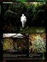 Page: - 98 | High Times