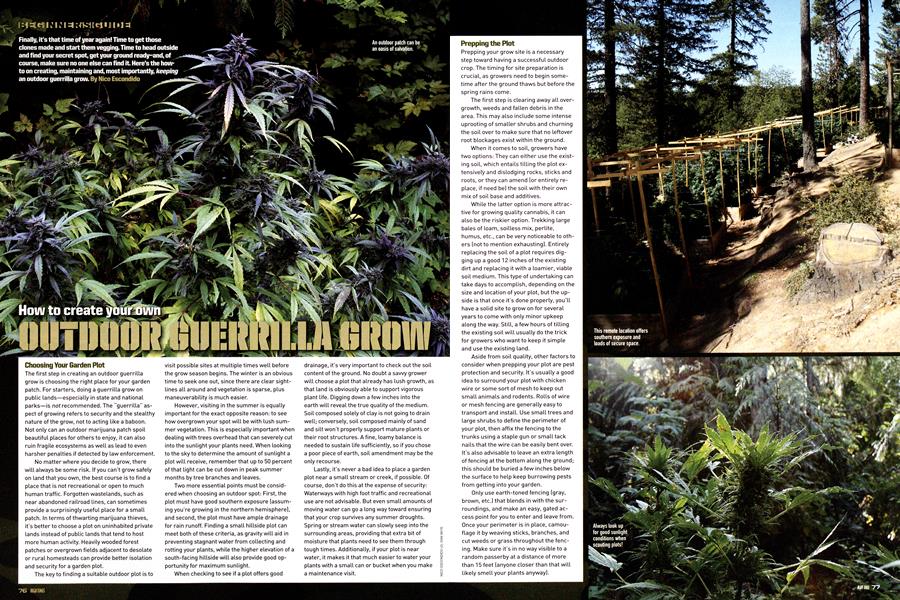 How to create your own OUTDOOR GUERRILLA GROW