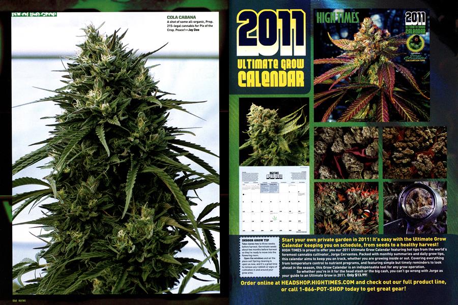 pix of the crop
