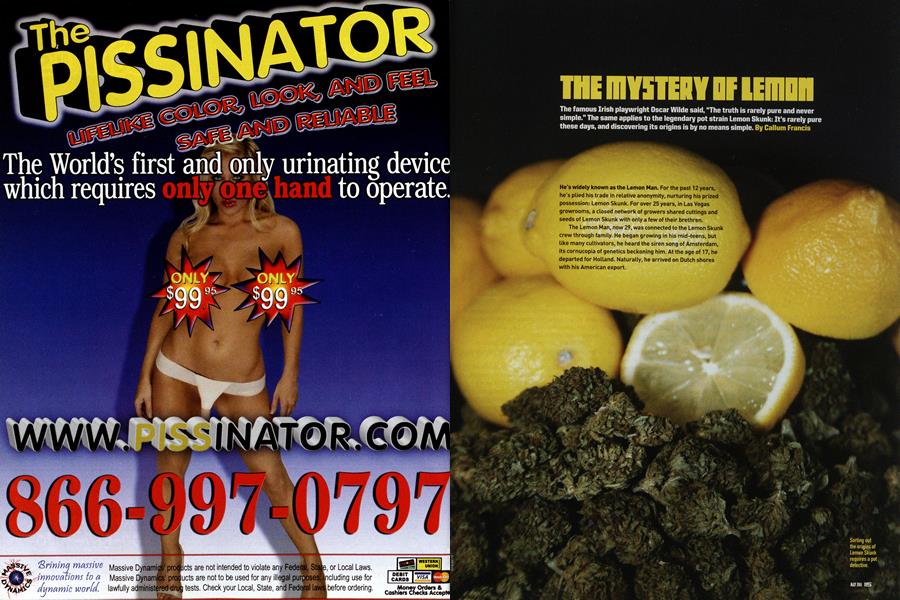 THE MYSTERY OF LEMON