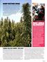 Page: - 15 | High Times