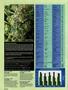 Page: - 22 | High Times