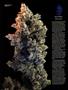 Page: - 44 | High Times