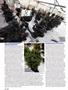 Page: - 50 | High Times