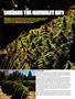 Page: - 76 | High Times