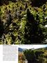 Page: - 77 | High Times