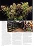 Page: - 82 | High Times