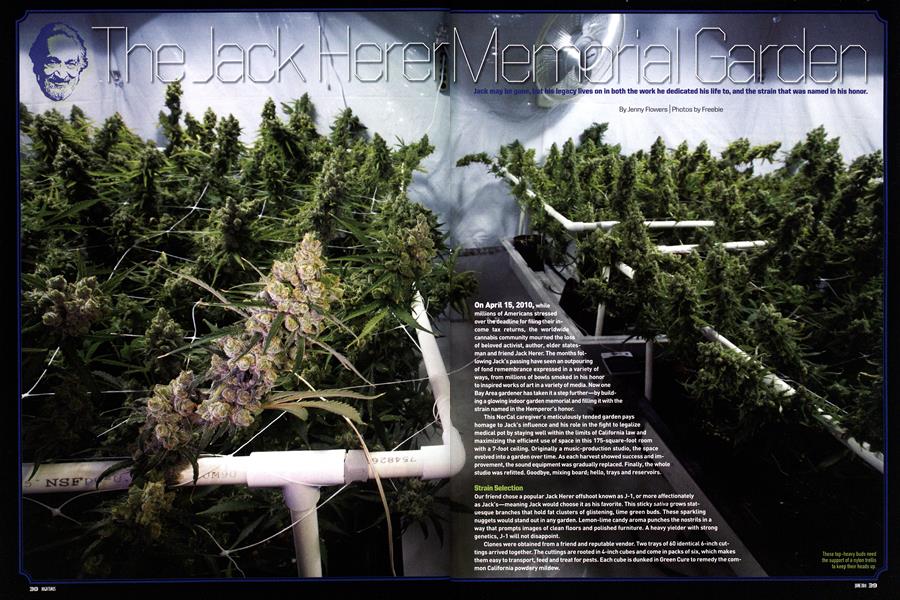 The Jack Herer Memorial Garden