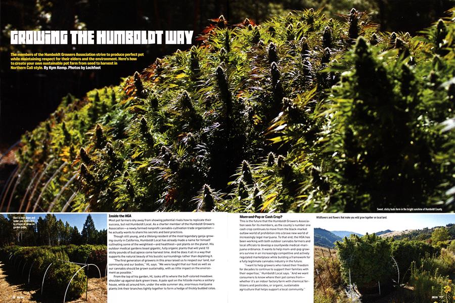 GROWING THE HUMBOLDT WAY