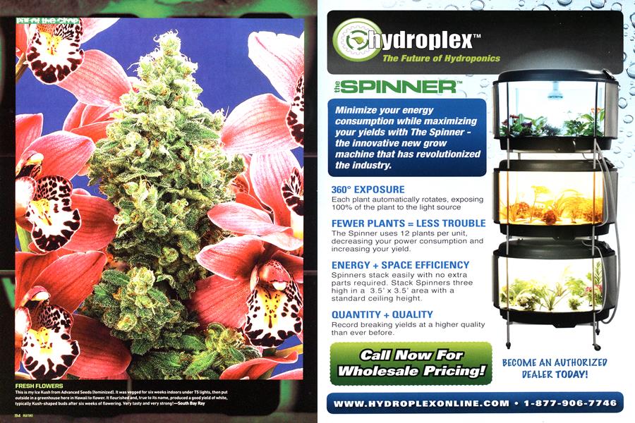 pix of the crop