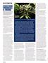 Page: - 112 | High Times