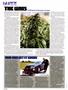 Page: - 16 | High Times