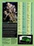 Page: - 20 | High Times