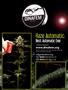 Page: - 31 | High Times