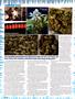 Page: - 38 | High Times