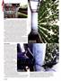 Page: - 48 | High Times