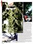 Page: - 50 | High Times