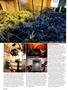 Page: - 64 | High Times