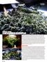 Page: - 66 | High Times