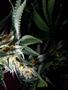 Page: - 69 | High Times