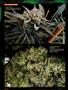 Page: - 96 | High Times