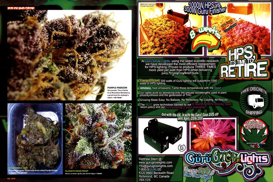 pix of the crop