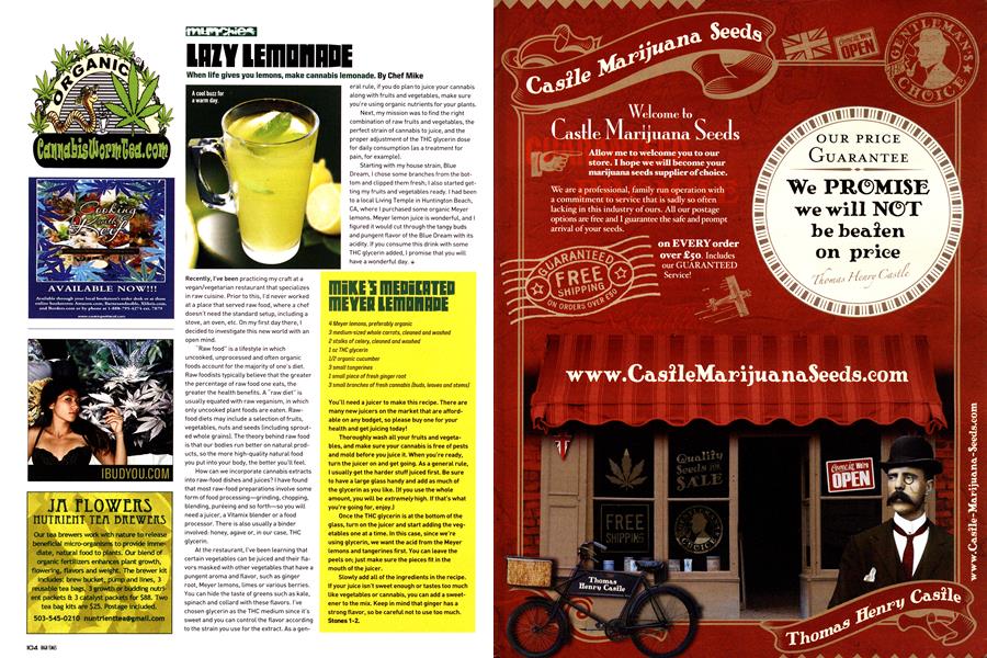 LAZY LEMONADE