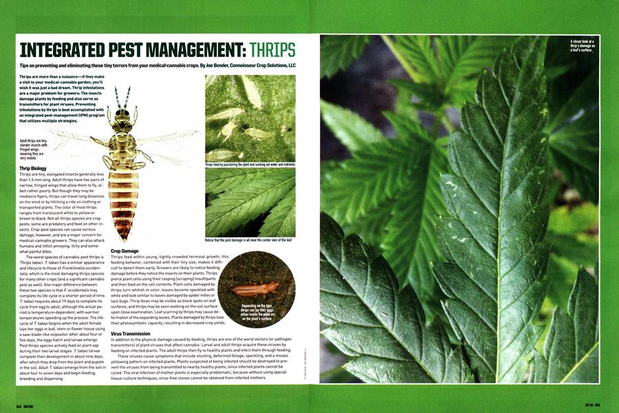 INTEGRATED PEST MANAGEMENT: THRIPS