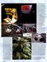 Page: - 116 | High Times