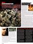 Page: - 12 | High Times